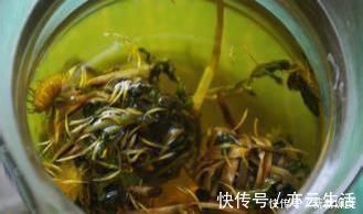 菊花茶|肝毒最怕的5种碱性食物，饭前饭后多吃，修复肝细胞，养肝更强肝