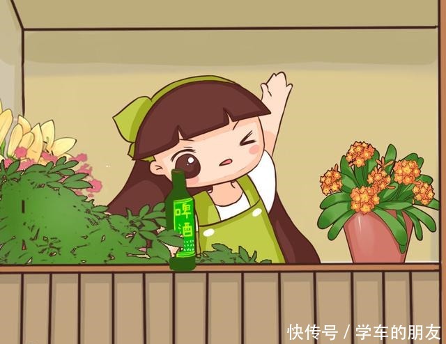 4种花爱喝啤酒,半个月给它喂1盅,越喝叶子越绿!