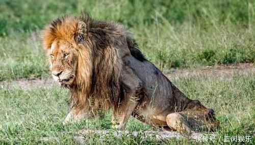 如果地球停止降雨五年,将会发生什么我们的生活又会发生什么