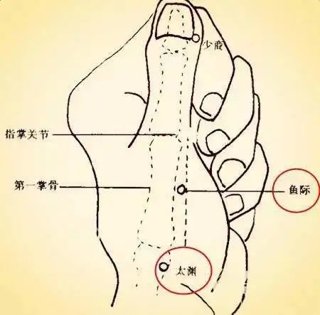 肺经|想要秋天少生病，一定要拍打此处，大病小病它都管