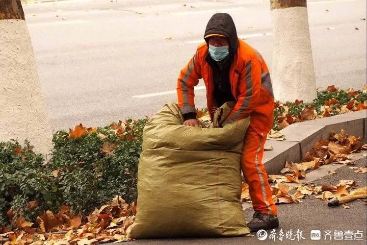 济南寒潮大风，落叶漫天飞舞，环卫工忙清扫