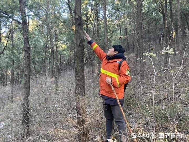 山林|护林员李菊：二十二年如一日，“我守护山林，山林也在守护我”