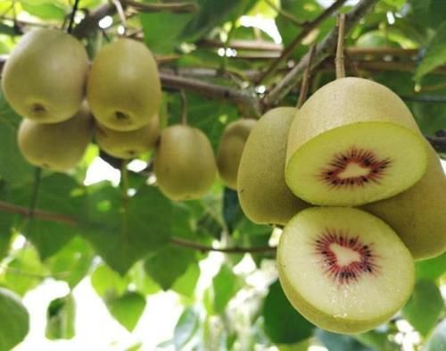 猕猴桃|脸上有斑的女士,尽量少碰2种蔬菜,常吃4种食物,或有助美白淡斑