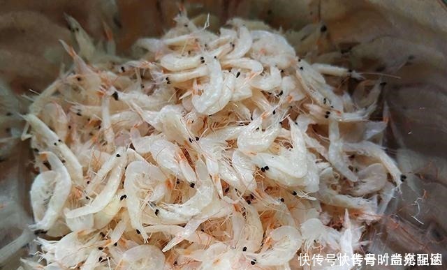腥味|自制腥味饵料添加剂，成本虽高但钓效好，冬季钓鱼不发愁