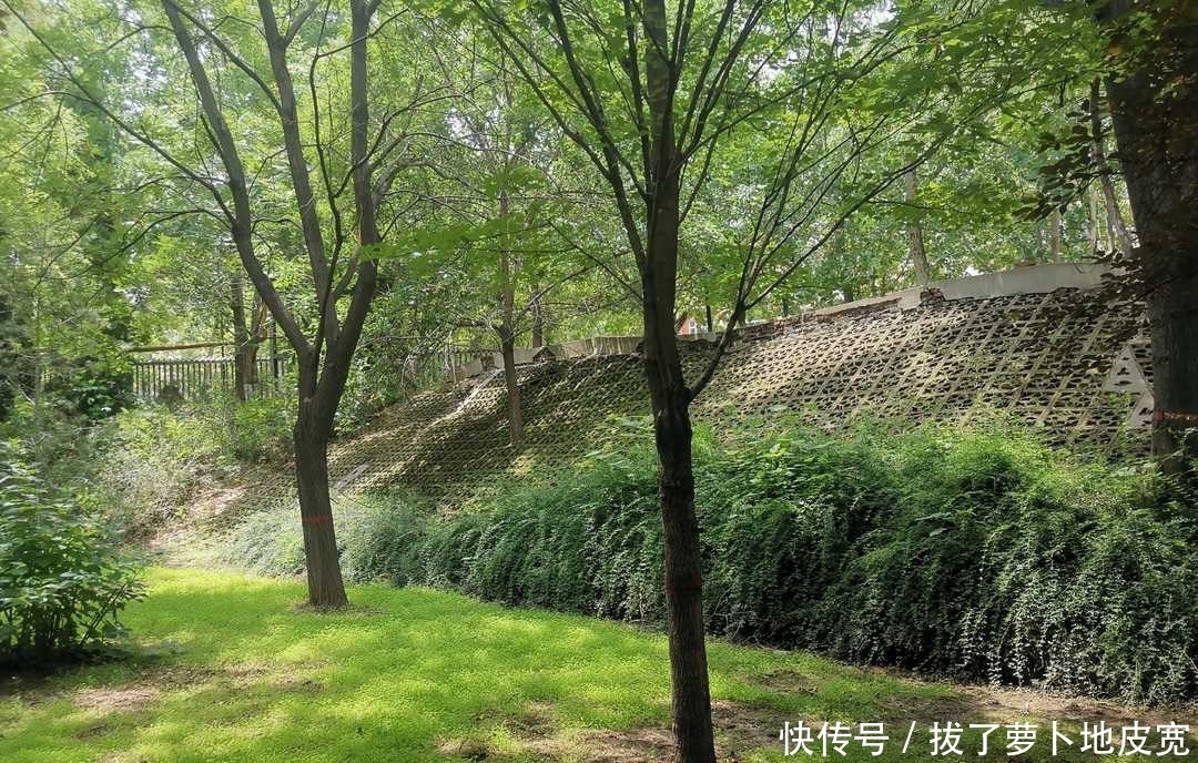 保平安|曾国藩:时刻反省求进步,严格自律保平安,克服焦躁平心气