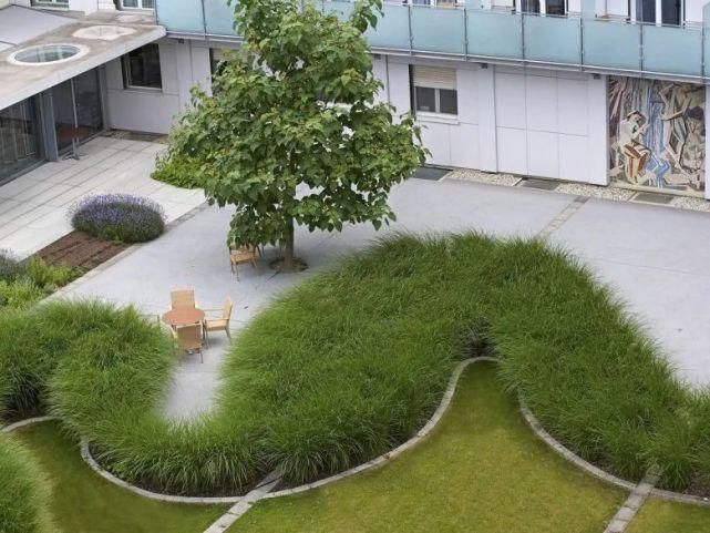 植物“整形”，花样百出