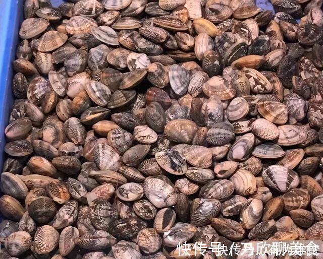 当季|什么海鲜最便宜内行人只选对的，不选贵的