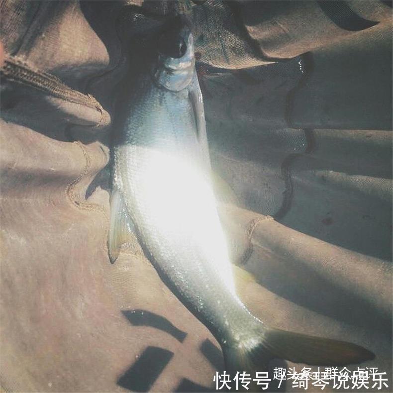 掌握这些钓鱼小技巧，还不手到鱼来！