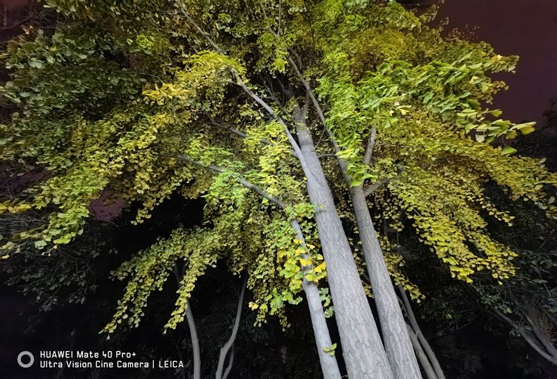 间维度|全球首款自由曲面镜头手机告别畸变!华为Mate40 Pro+超大杯评测