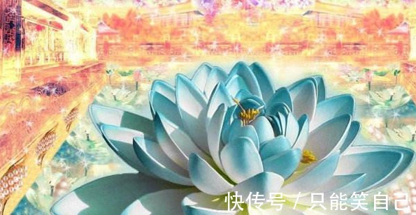 佛前供花的好处