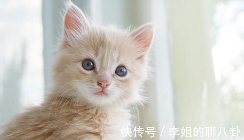 |幽默笑话:我今天在公司开年会的时候,被老板当众表扬