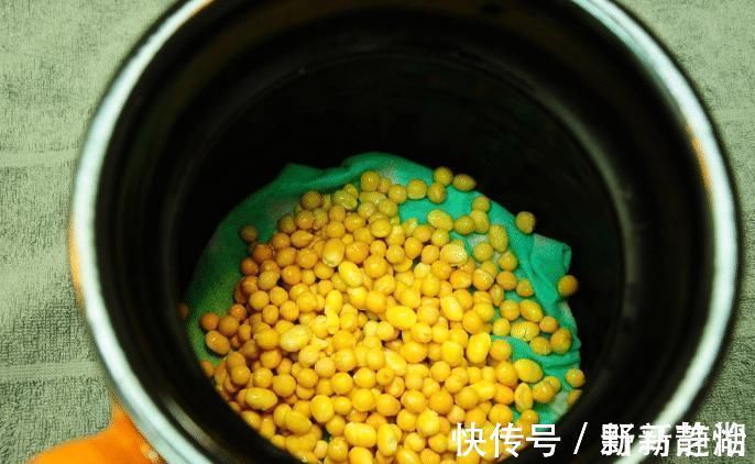 化肥|别再买豆芽了！有豆子就能发，3天就发好，无化肥更健康，超简单