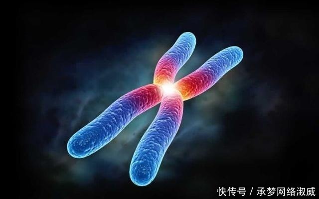 孕期|孕期抓住胎儿大脑发育“高峰期”,宝宝出生后,智商只高不低