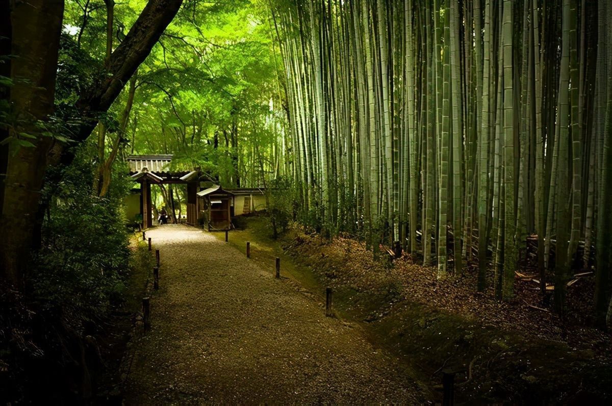 古诗|诗词丨给40首古诗加上配图,恍然大悟,惊为天人