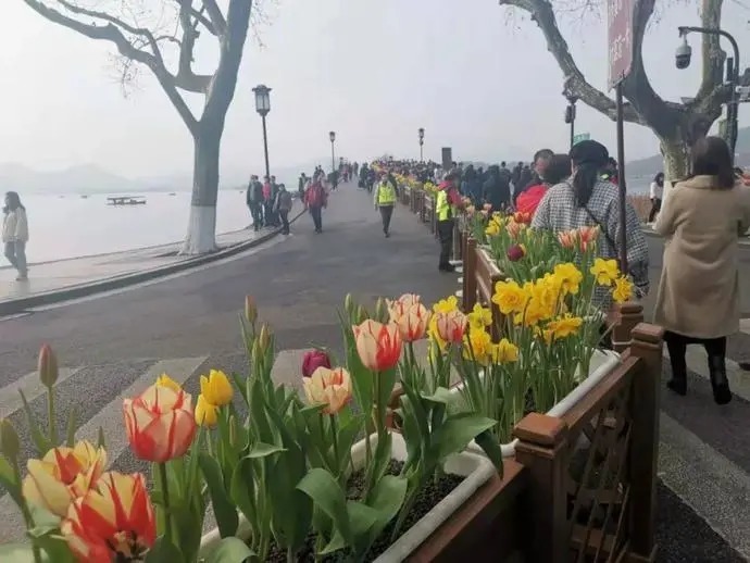 中年|人人人人！西湖断桥采取分流限流措施！接下来大升温，逼近20℃！