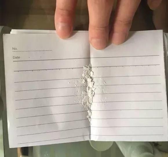 总烂根黄叶,盆里撒一把它,不管多难养,很快能冒芽冒花!