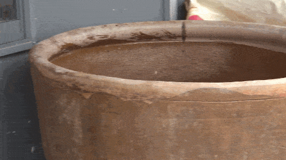 苏城冬补酱肉开腌哉！古法七石缸藏百年秘方！