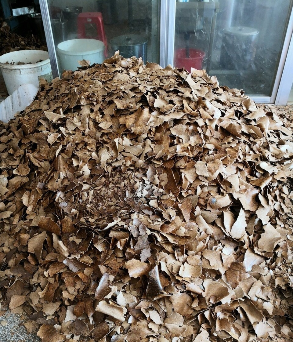 花卉|他养花“自制”有机肥,1月只浇“2瓶盖”,效果惊人,花肥不用买