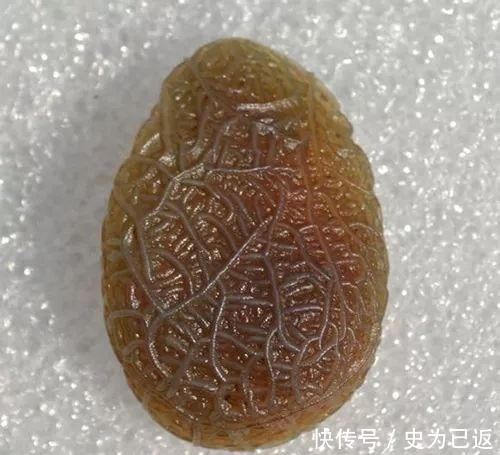 石种|什么新石种?这些线团竟然是天然的石头!难以置信!