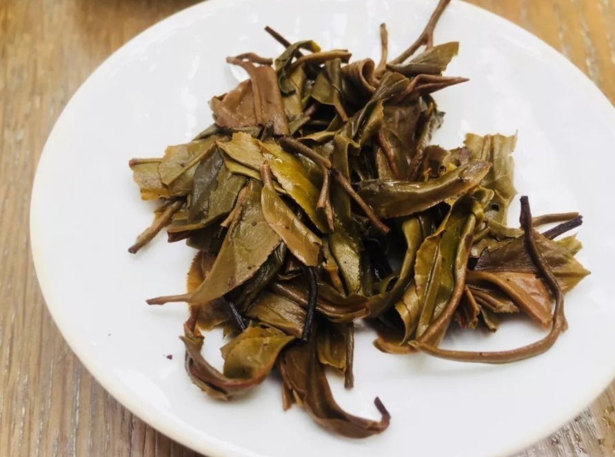 茶叶不能拿来养花,全扔了,真傻!一加工制肥,啥植物都能用