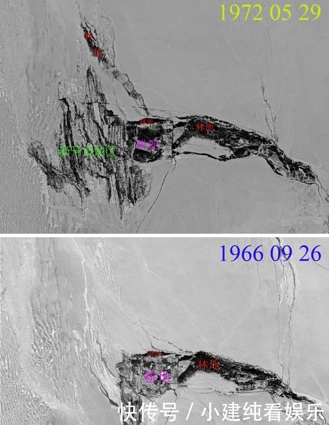 互联网时代 卫星视角，看敦煌阳关林场，55年间的前世今生