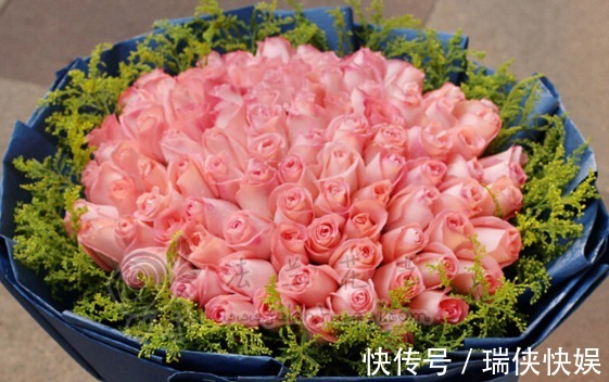 大家见过“戴安娜玫瑰”吗花姿优雅,温柔浪漫,观赏性价值极高