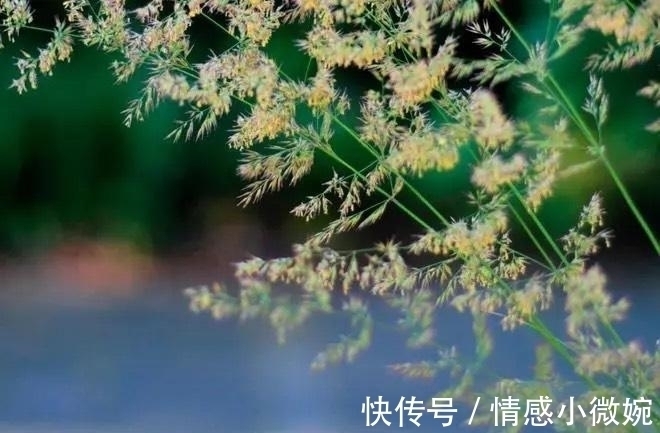 切莫&生活与妙招:18个有趣又聪明的小妙招,摆脱孩子带给你的烦恼