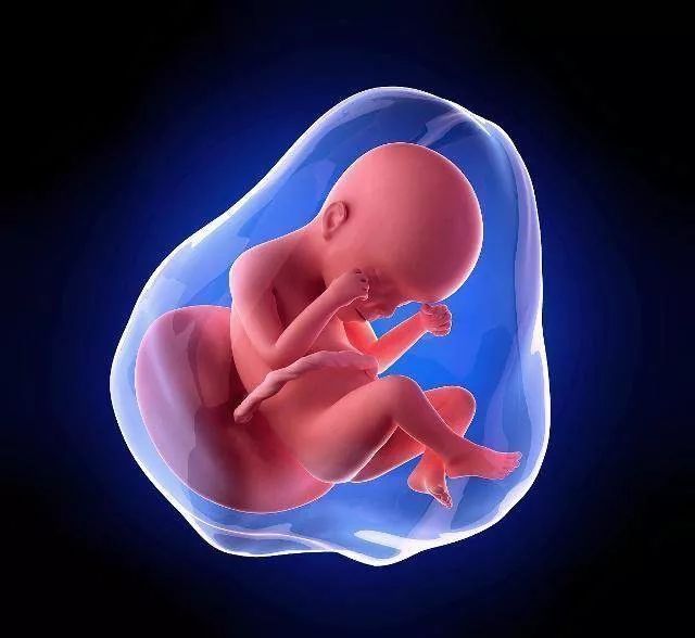 产检|做四维彩超，孕妇要提前做好四个“准备”，不然花了钱等于白做