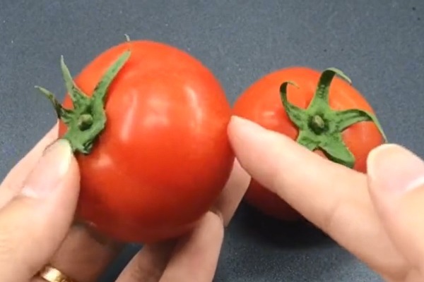 西红柿去皮别再用开水烫了，教你一招，快速去皮不流汁，省时省力