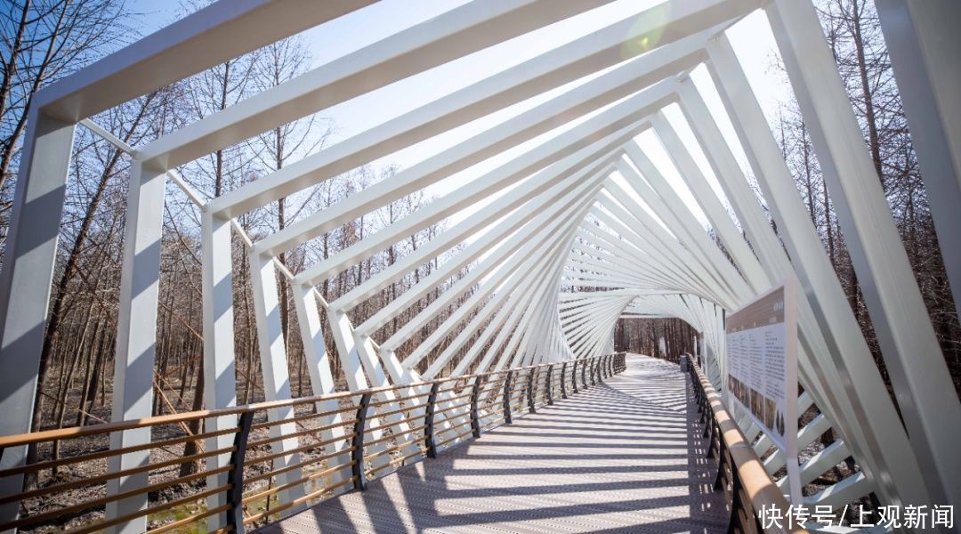 西沙湿地开园啦