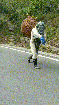 |搞笑GIF趣图:昨晚,我问儿子的学习情况