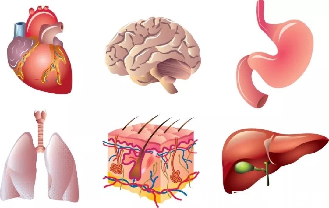 康复|恶性肿瘤是如何扩散的日常预防很重要,早发现,早康复。