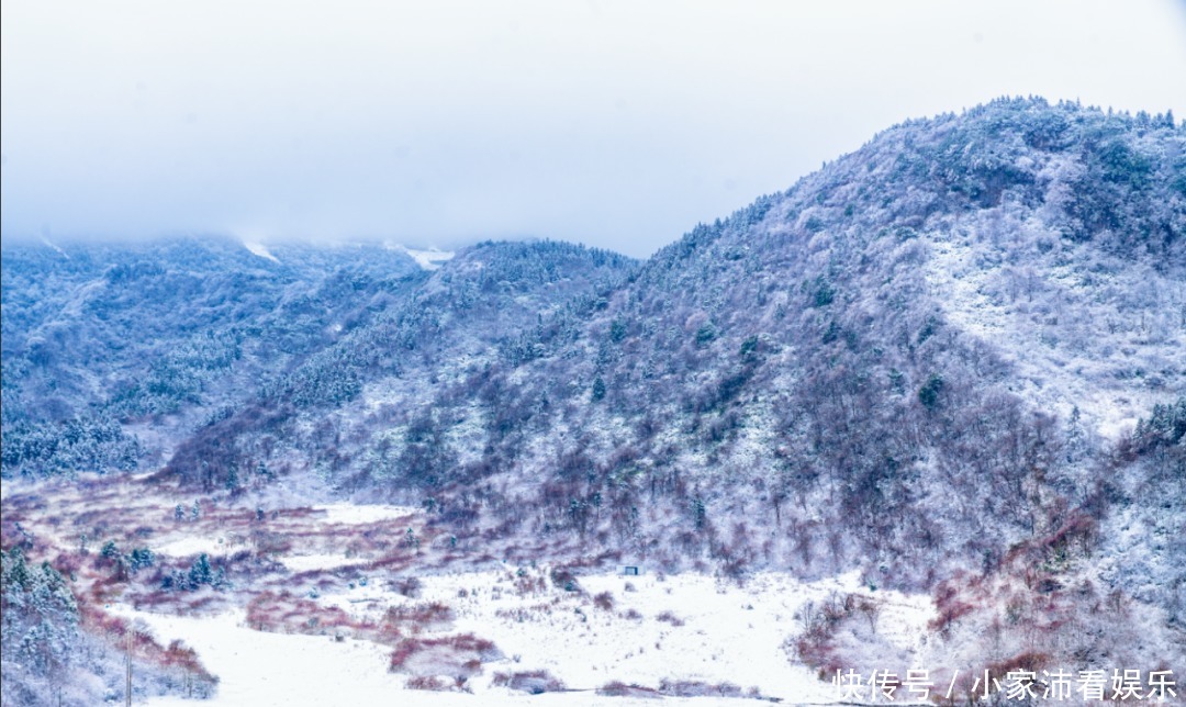 重庆主城|下雪了！雪玉山今冬第一场雪已“到货”，美景刷爆朋友圈！