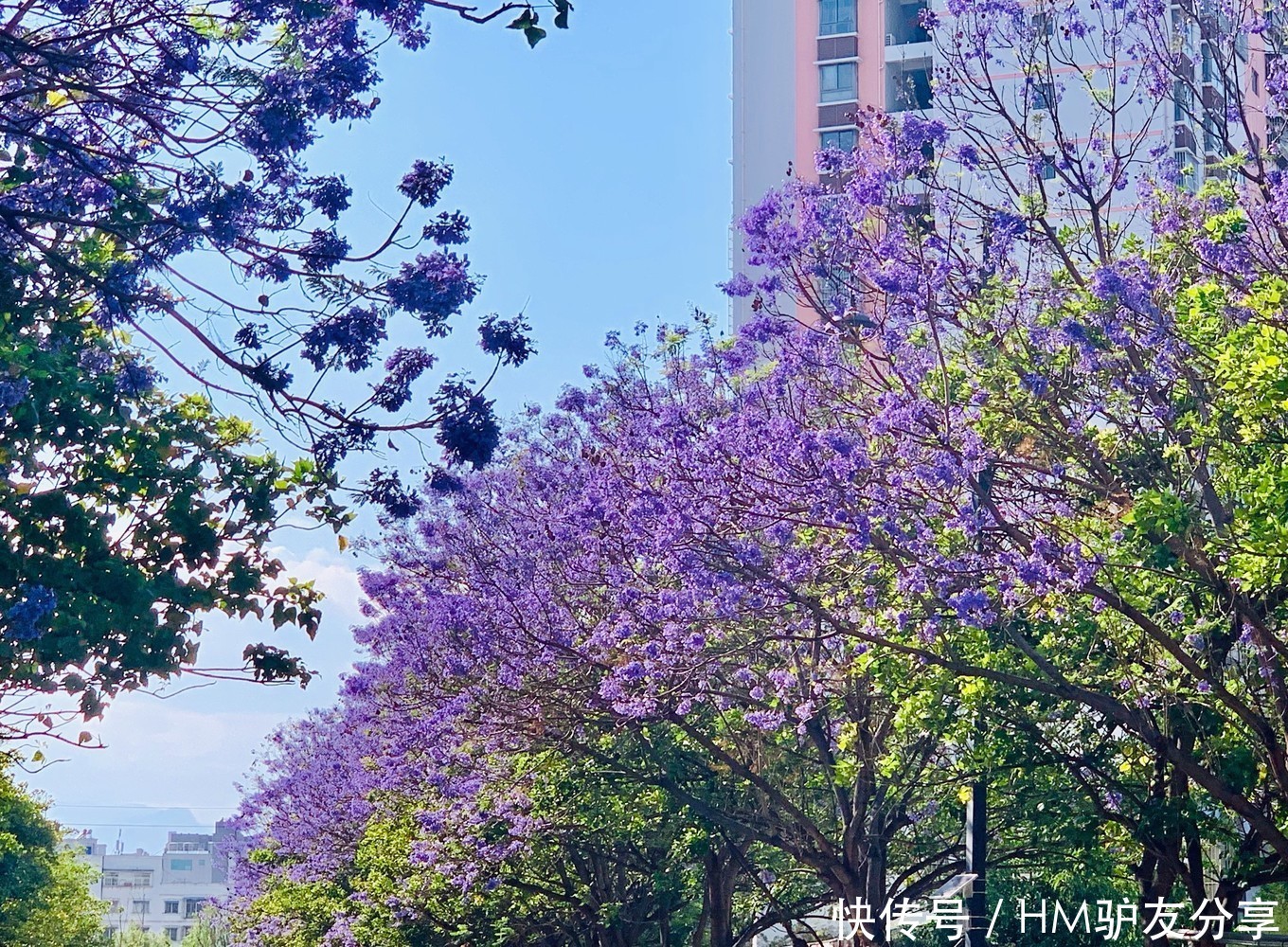 中年|春天最适合小住三五天的12个地方,错过这些美景,又要等一年
