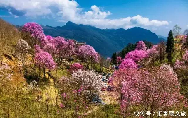 淋一场烟雨，遇一场花事，9个三月花海刷屏的地方