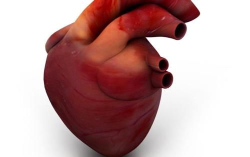 冷知识|人体最强壮的肌肉是什么？二十个常人所不知道医学冷知识！