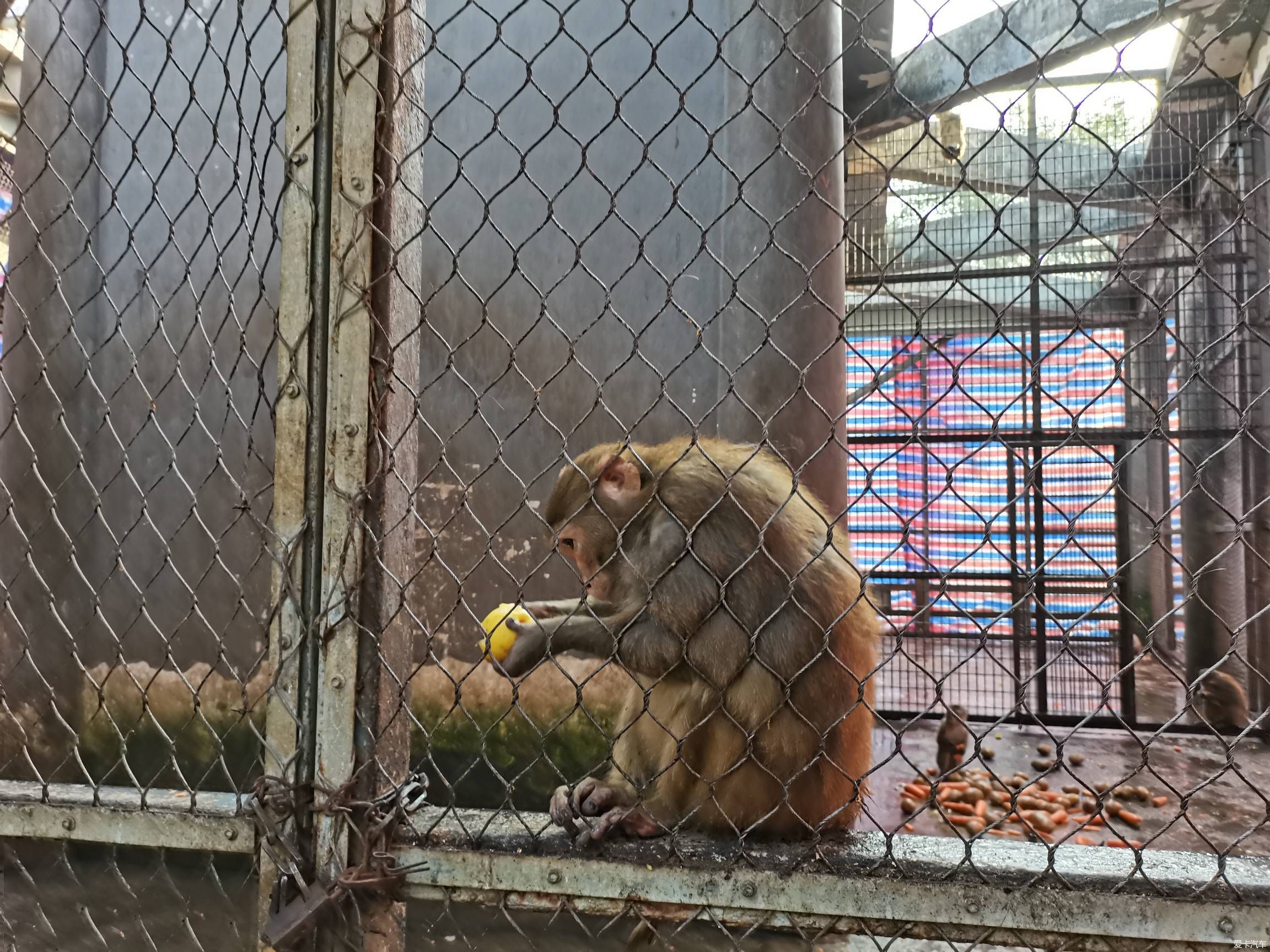 情人节逛森林公园