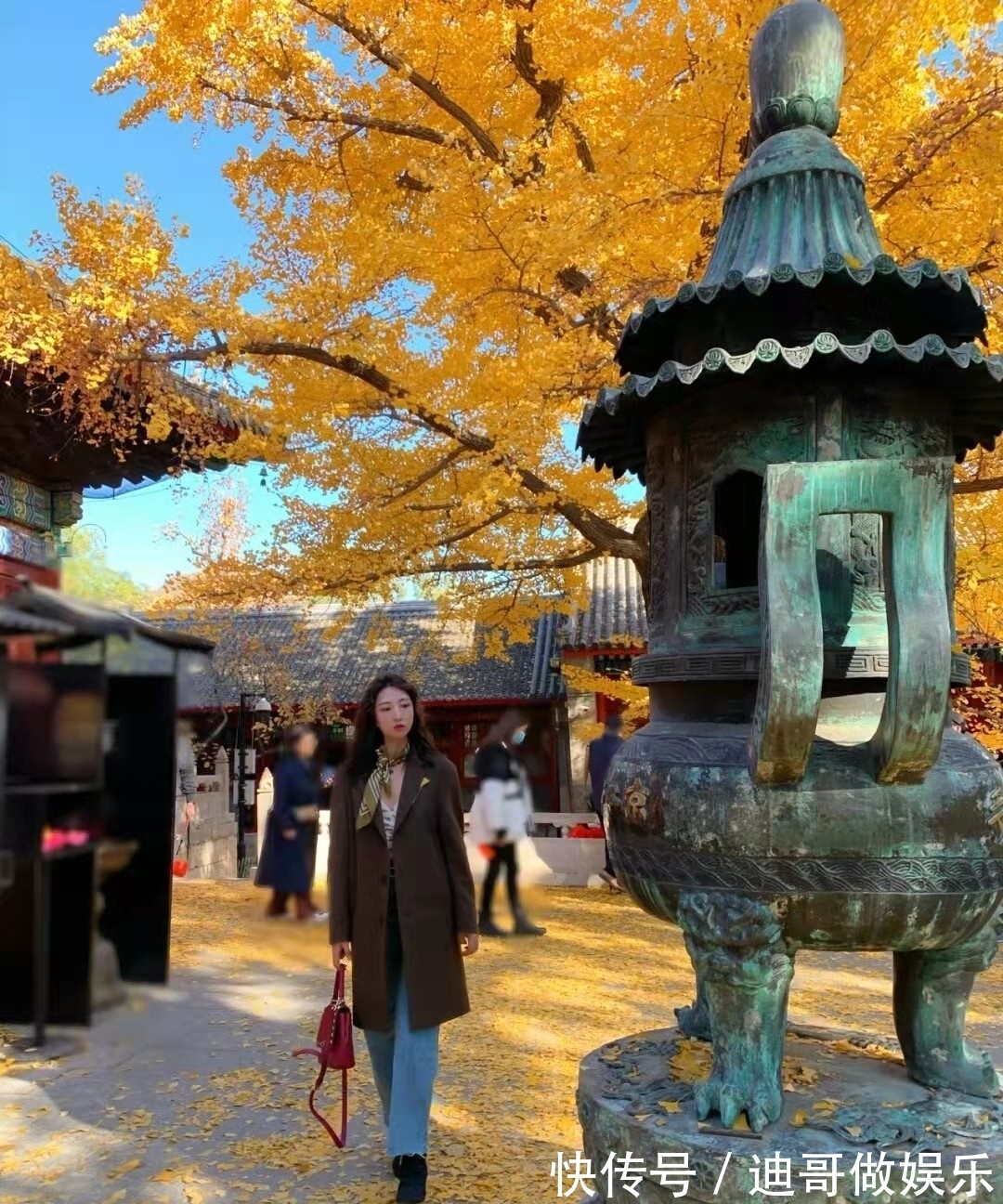 红螺寺|北京银杏美学巅峰：红螺寺千年雌雄银杏树！赏秋与祈福两不误！