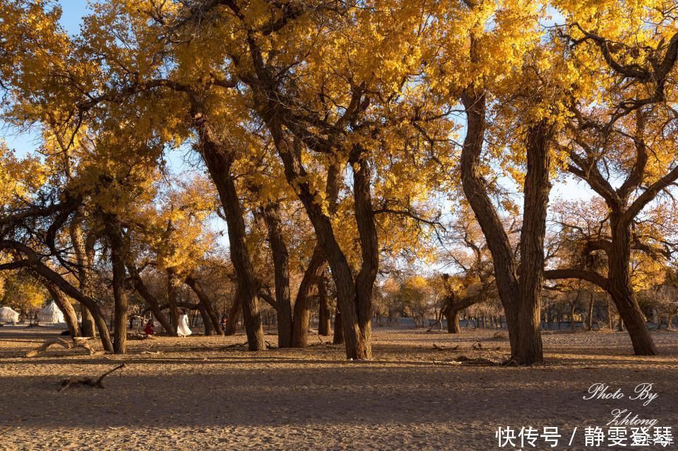 电影《英雄》取景地--内蒙额济纳，记录炫丽迷人的七彩丹霞地貌