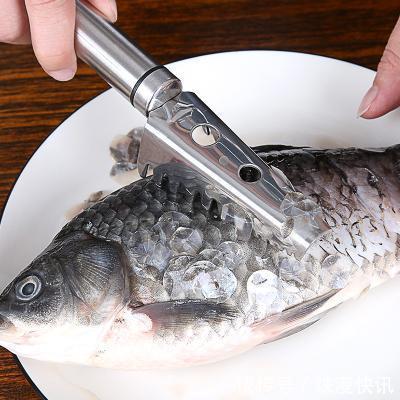 组氨酸|请停止吃这5种鱼，可能含寄生虫和重金属，看看你是否爱吃