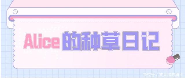 气场|秋冬不可错过的口红色号,上嘴既温柔又有气场,满满高级感!