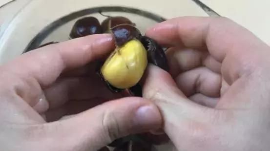 机关|才清楚,板栗壳上藏着小机关,皮一剥就掉,一分钟就能剥一大碗