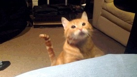 同龄人|脸上有这四种特点的人，是典型的“童颜”，老了看不出岁月的痕迹