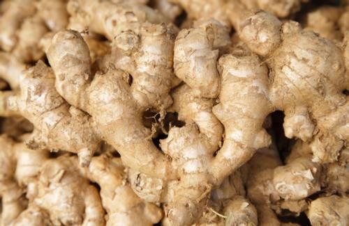 立春前后挑些发芽的生姜，按“这要求”养，观赏、食用两全了