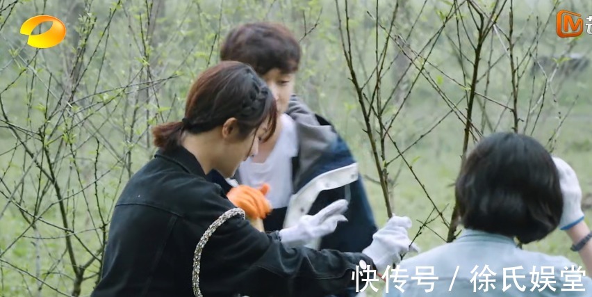 觀眾|緋聞男女何去何從，張藝興對楊紫稱呼三次轉(zhuǎn)變，觀眾嗑糖嗑瘋了