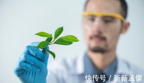 阳气充足|阳气充足的男人,身上大多有四个共性,你能有一个,也值得开心