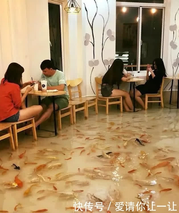 顾客|奇闻:咖啡馆地面养鱼走红网络,知道细节后,网友怒了
