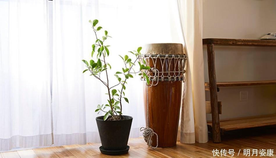 储物柜|55平米3个娃!日本妈妈太厉害了,一家人蜗居也能过上精致生活