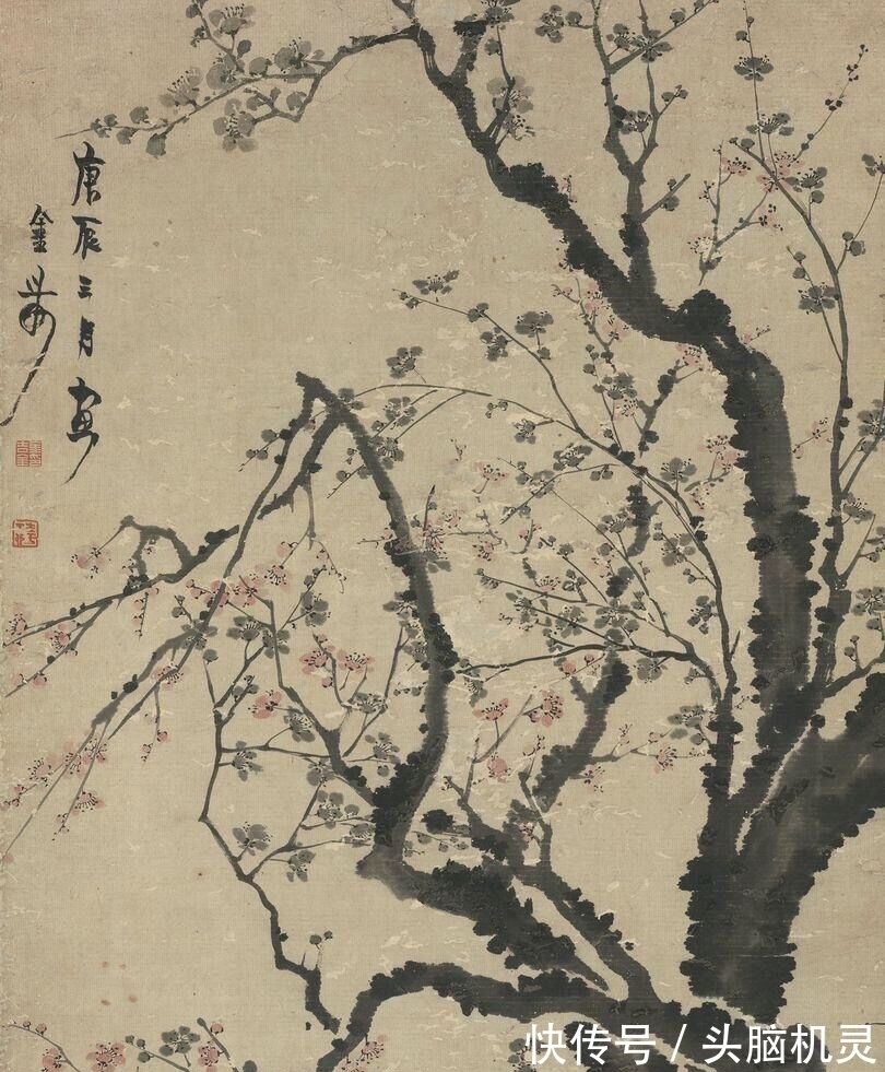 冰雪$冰雪林中著此身,不同桃李混芳尘——梅花风骨,一枝独开天下春