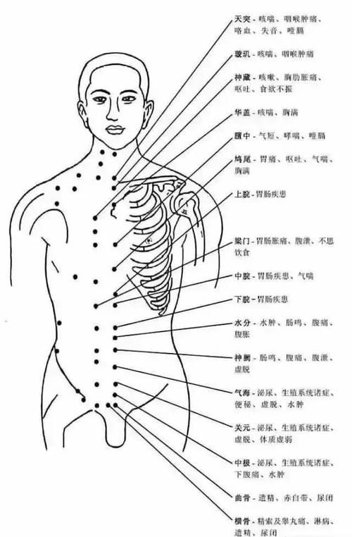 人体头部、面部、胸腹腰部、下肢、脚部常用穴位集锦大全，快收藏